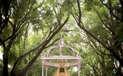 Montaje de Alfombras para la Procesión de Nuestra Señora de la Merced Coronada 2023