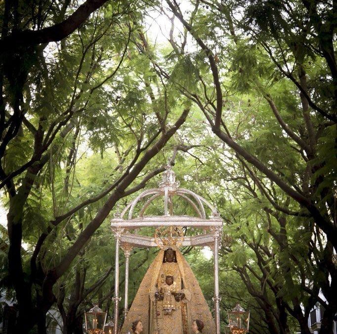 Montaje de Alfombras para la Procesión de Nuestra Señora de la Merced Coronada 2023