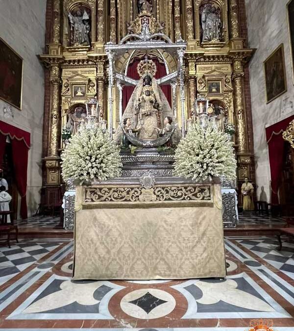 Fotografías del montaje de la alfombra y Procesión de Nuestra Señora de la Merced Coronada 2022