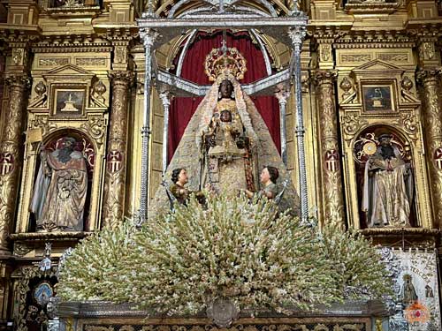 Fotografías del montaje de la Alfombra y Procesión de Nuestra Señora de la Merced Coronada 2023