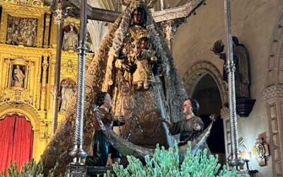 Fotografías del montaje de la alfombra y Procesión de Nuestra Señora de la Merced Coronada 2024