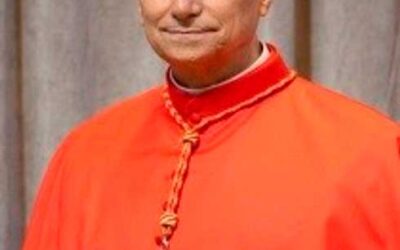 Habemus Papam 2025